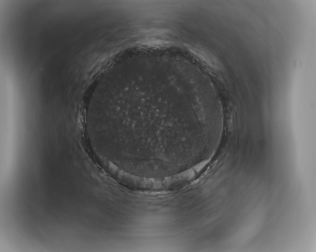 X0000113551397200909251028