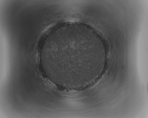 X0000113551398200909251028