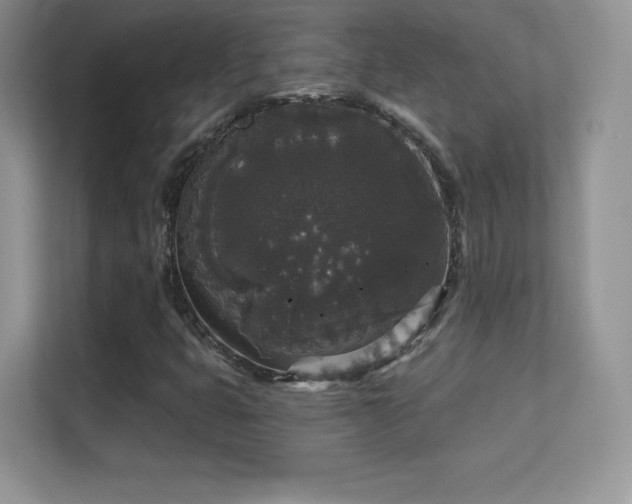 X0000113551399200909251028