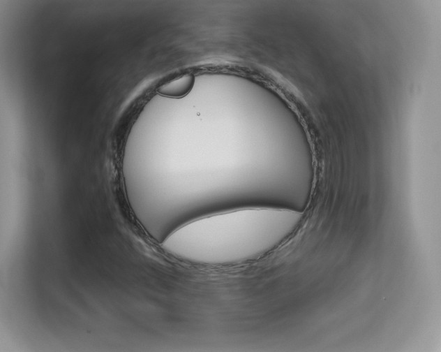 X0000113551400200909251028