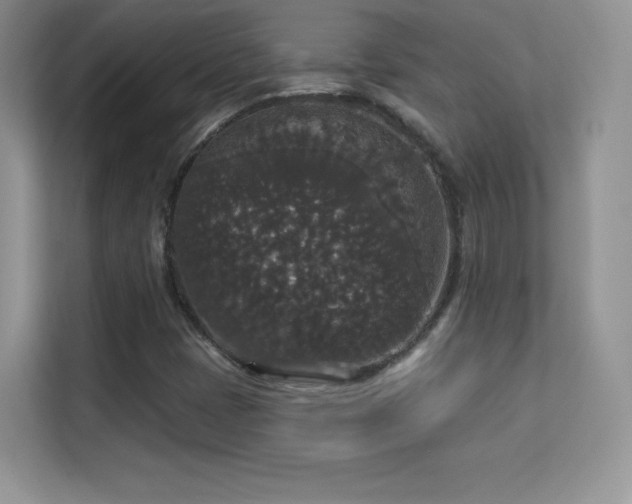 X0000113551401200909251028