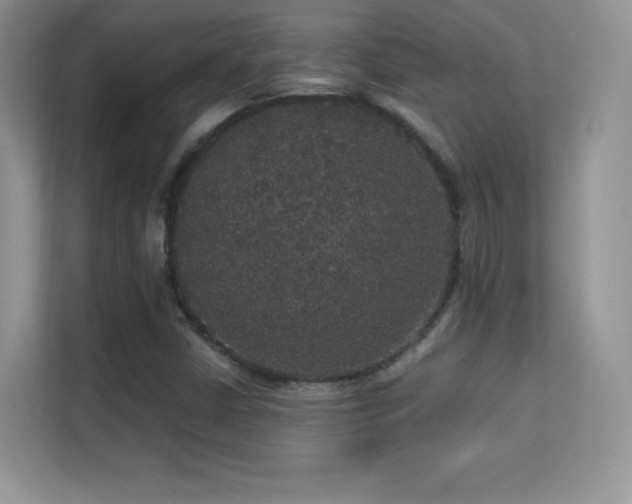 X0000113551402200909251028