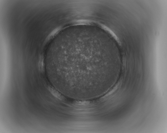 X0000113551403200909251028