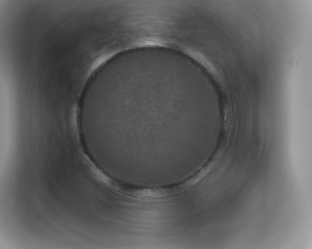 X0000113551404200909251028