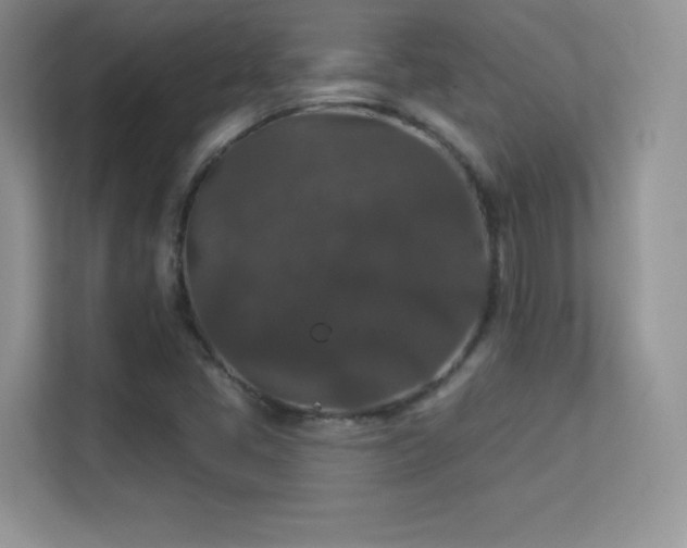 X0000113551405200909251028