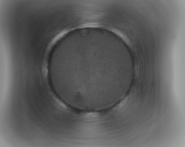 X0000113551406200909251028