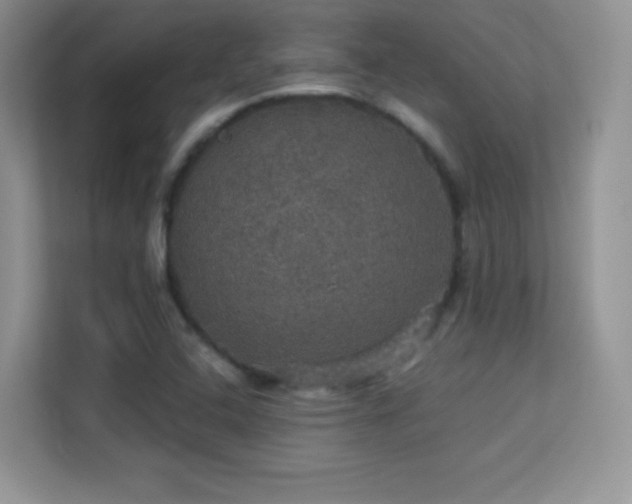 X0000113551408200909251028