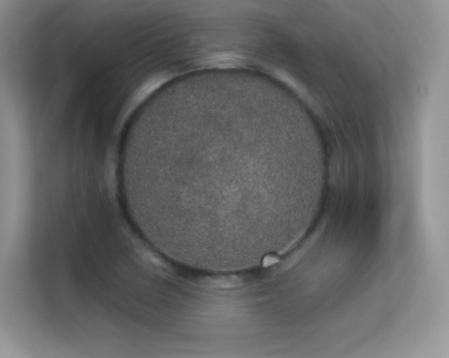 X0000113551410200909251028