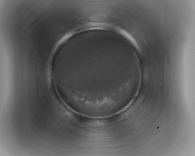 X0000113551411200909251028