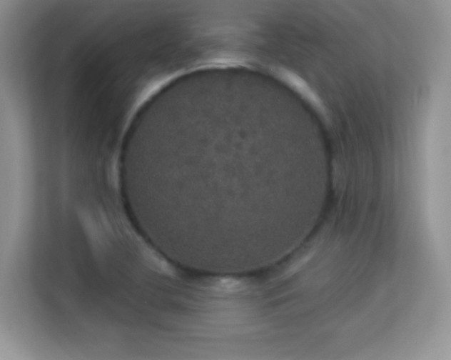 X0000113551412200909251028