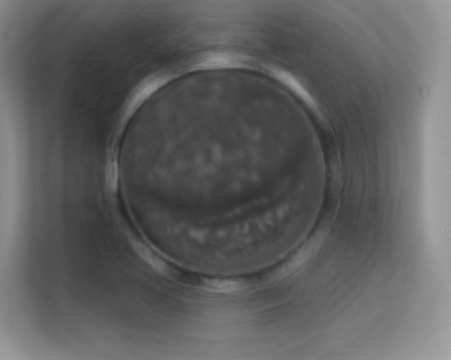 X0000113551413200909251029