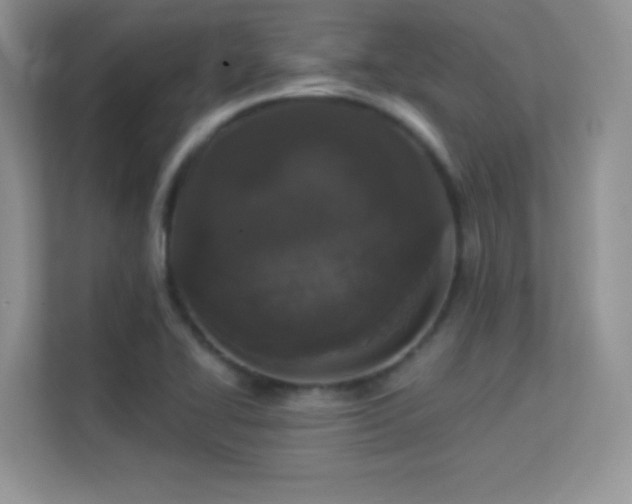 X0000113551414200909251029