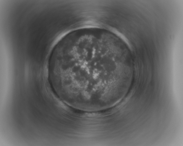 X0000113551415200909251029