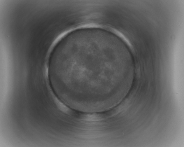 X0000113551416200909251029