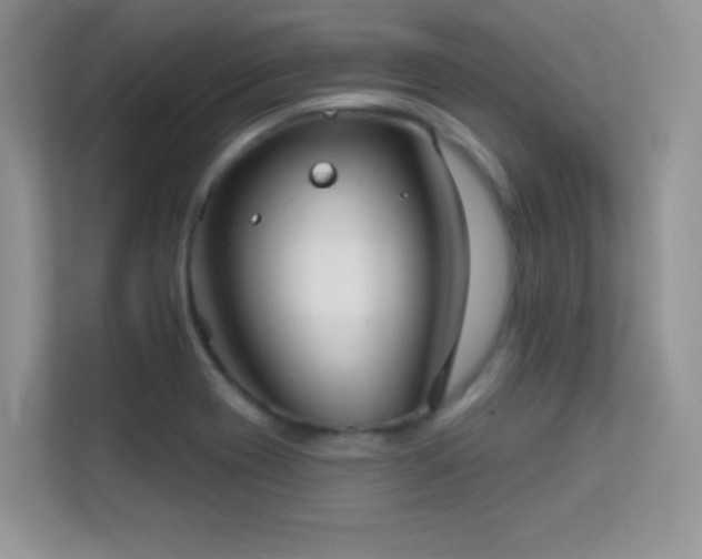 X0000113551417200909251029