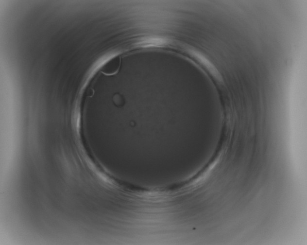 X0000113551418200909251029