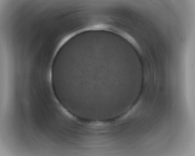 X0000113551420200909251029