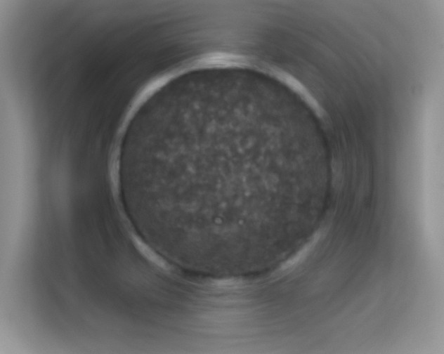 X0000113551421200909251029