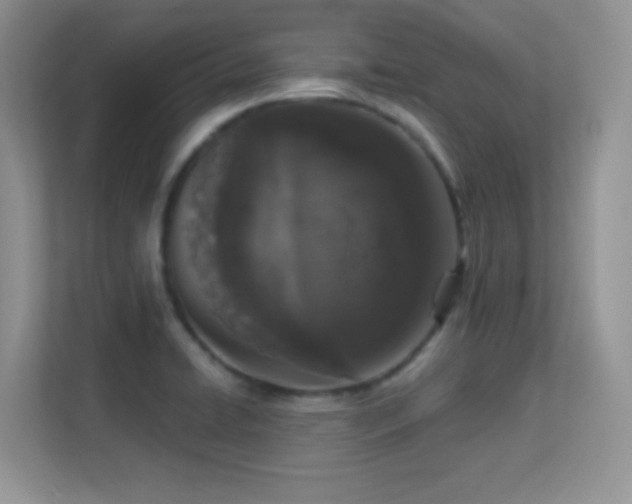 X0000113551422200909251029