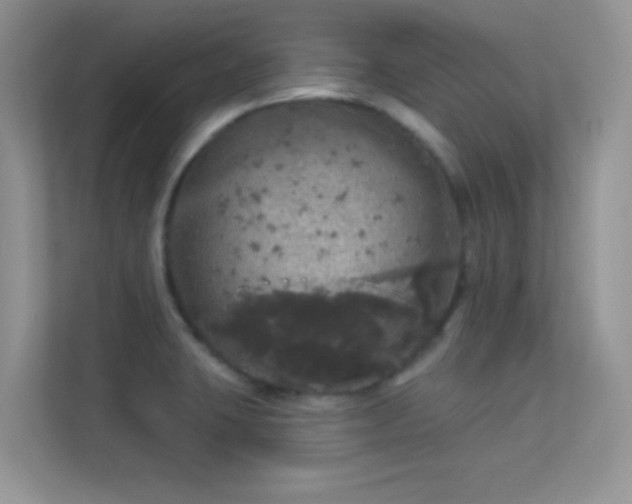 X0000113551423200909251029