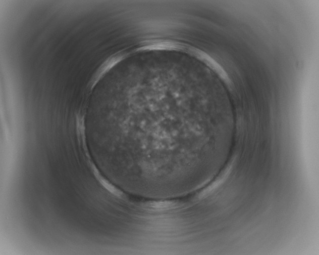 X0000113551425200909251029