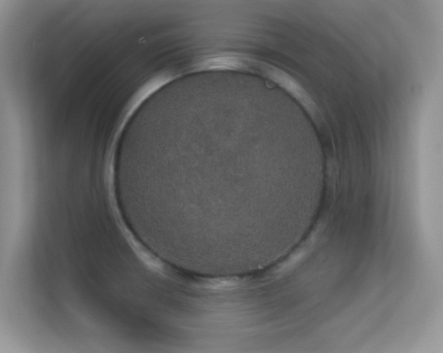 X0000113551426200909251029