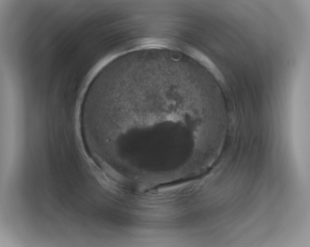 X0000113551427200909251029