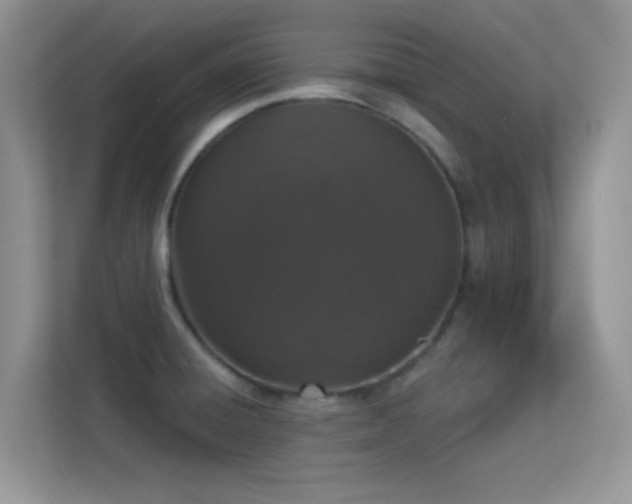 X0000113551428200909251029