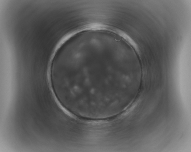 X0000113551429200909251029