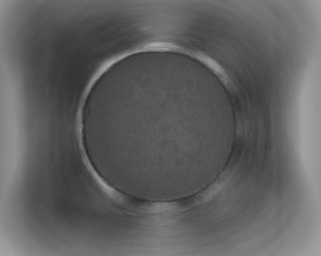 X0000113551430200909251029