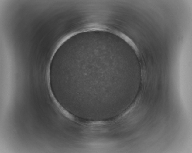 X0000113551431200909251029