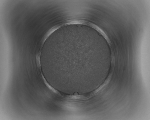 X0000113551433200909251029