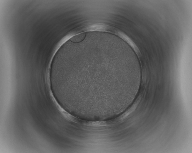 X0000113551434200909251029