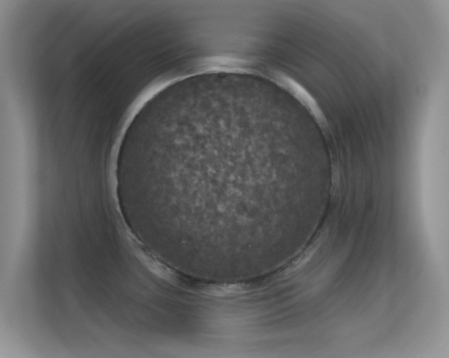 X0000113551435200909251029