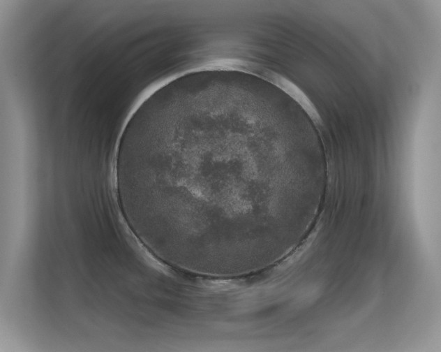 X0000113551436200909251029