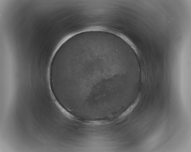 X0000113551438200909251029