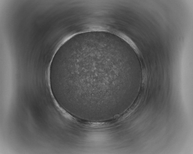 X0000113551439200909251029