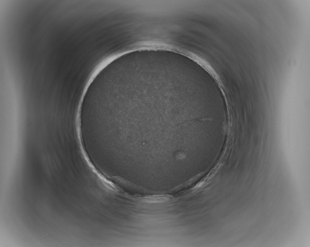 X0000113551440200909251029