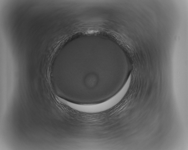 X0000113551441200909251028