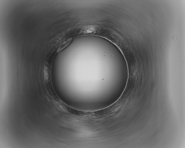 X0000113551442200909251028