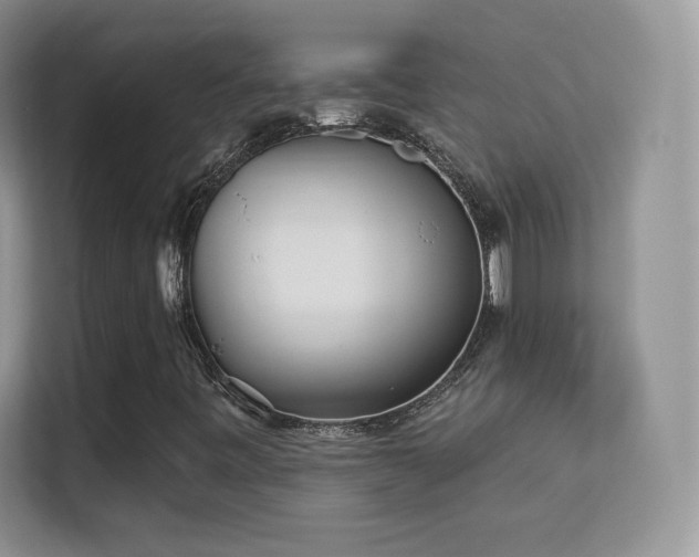 X0000113551443200909251028