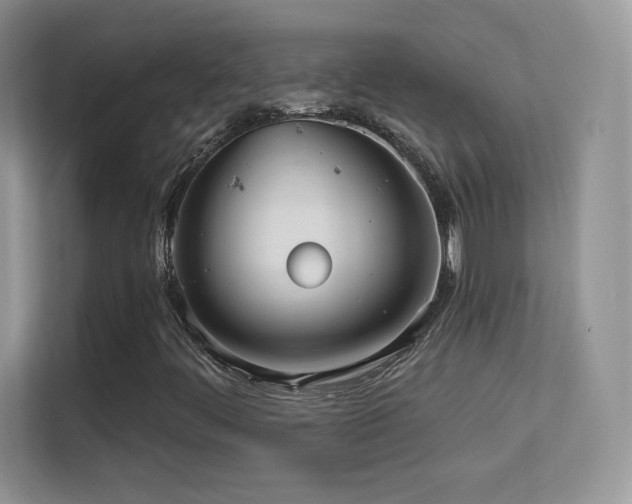 X0000113551444200909251028