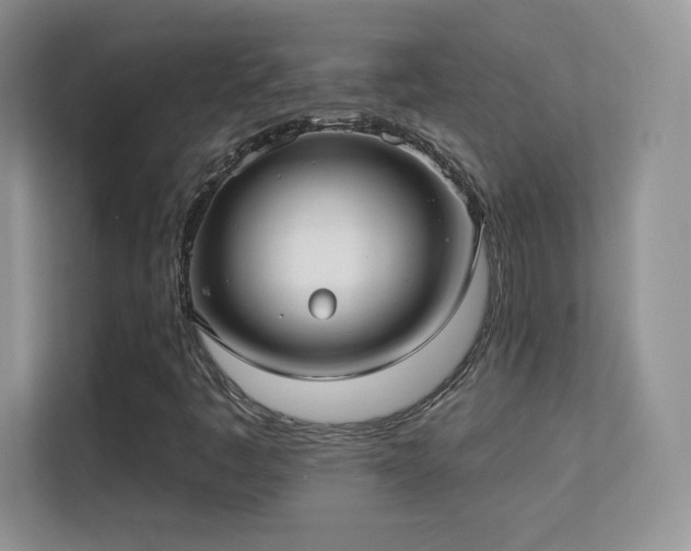 X0000113551445200909251028