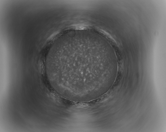 X0000113551446200909251028