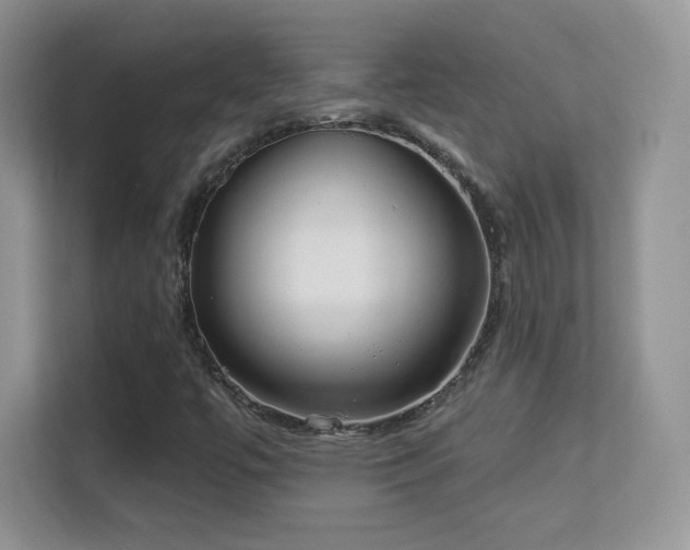 X0000113551447200909251028