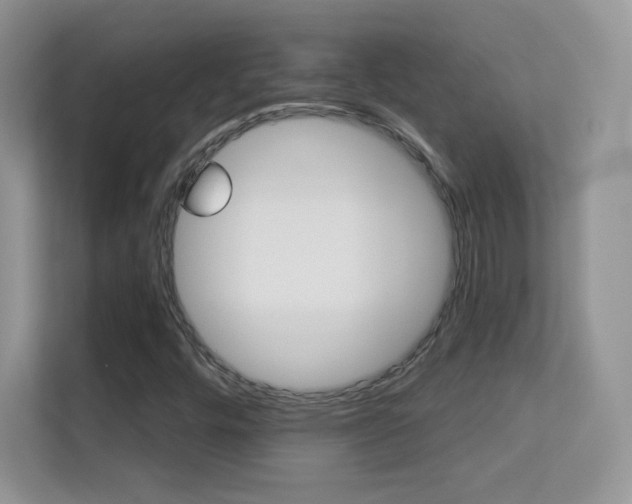 X0000113551448200909251028