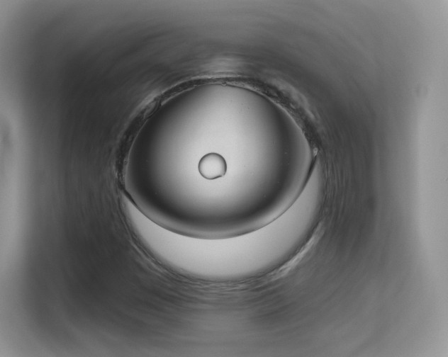 X0000113551449200909251028