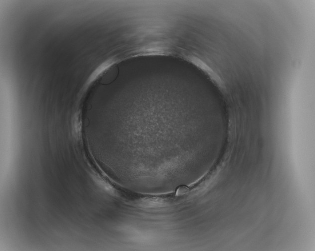 X0000113551450200909251028