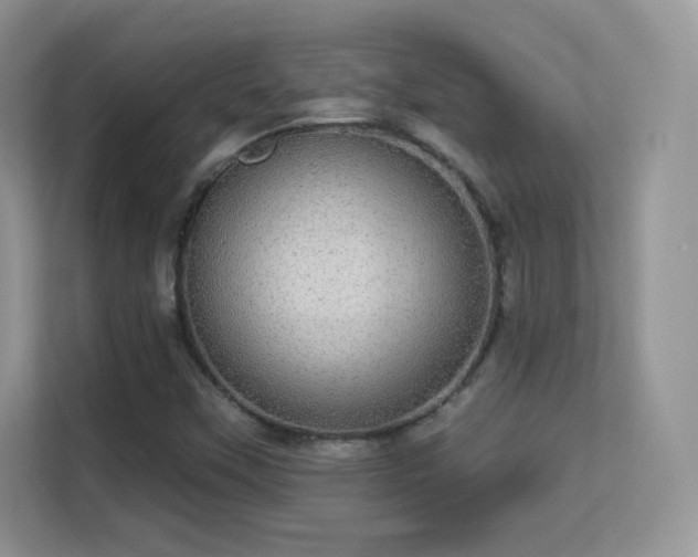 X0000113551451200909251028