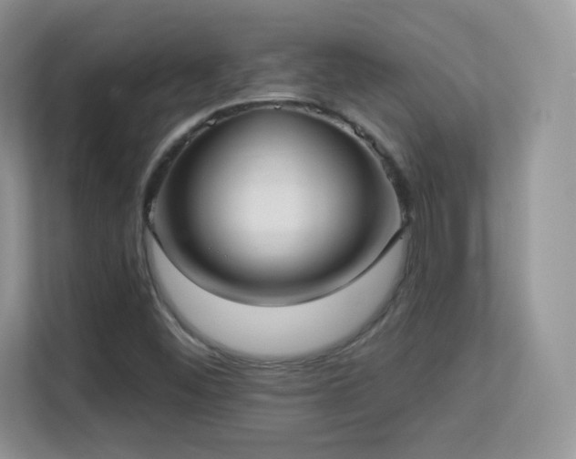 X0000113551452200909251028